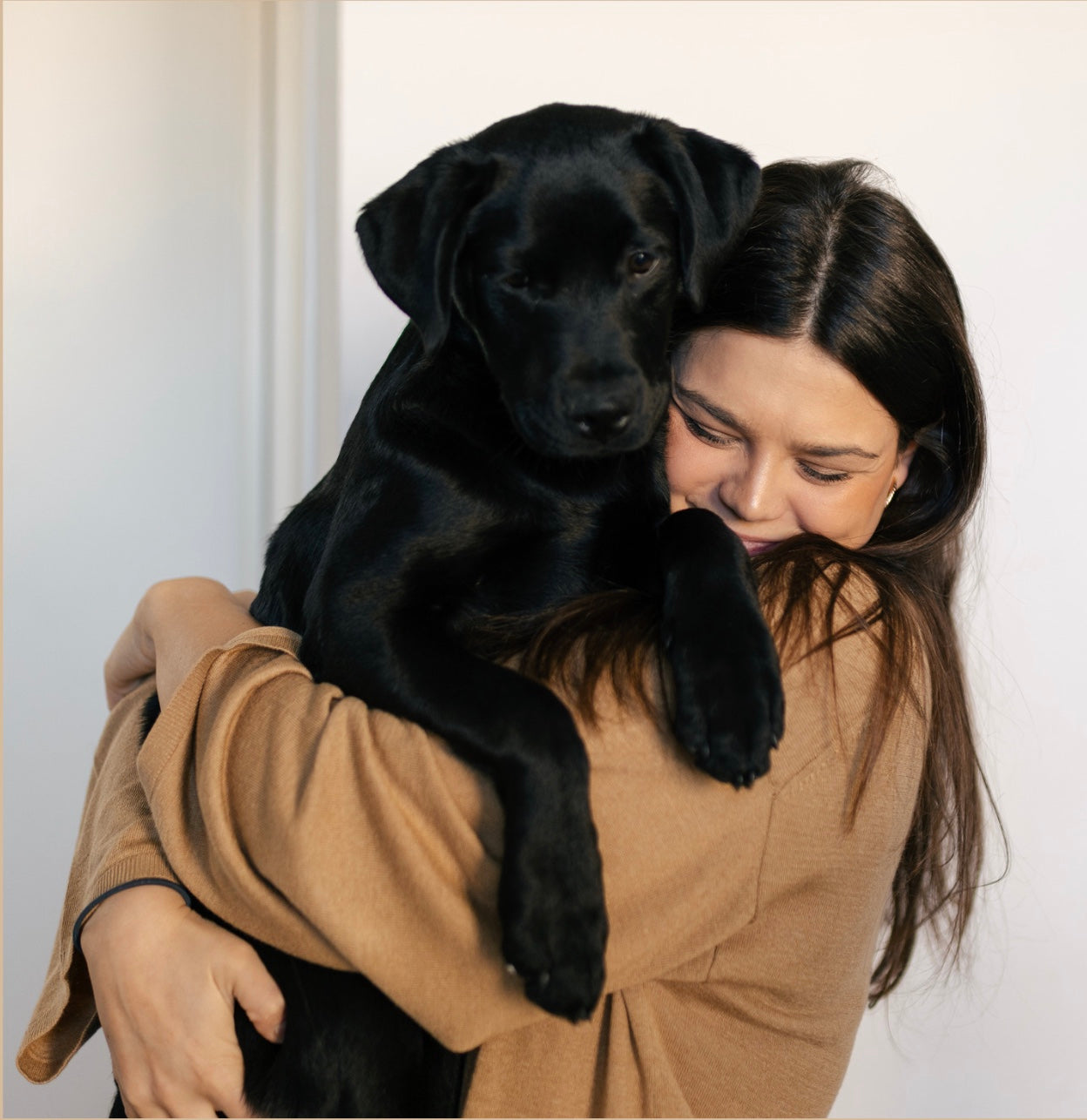 Your Complete Puppy Training Blueprint: The Fast-Track to an Obedient, Happy Dog